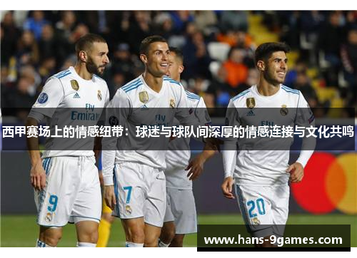 西甲赛场上的情感纽带:球迷与球队间深厚的情感连接与文化共鸣 西甲赛场上的情感纽带:球迷与球队间深厚的情感连接与文化共鸣