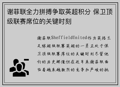 谢菲联全力拼搏争取英超积分 保卫顶级联赛席位的关键时刻 谢菲联全力拼搏争取英超积分 保卫顶级联赛席位的关键时刻