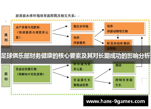 足球俱乐部财务健康的核心要素及其对长期成功的影响分析 足球俱乐部财务健康的核心要素及其对长期成功的影响分析